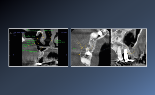 The Importance of Providing Medical and Dental Histories –&hellip;